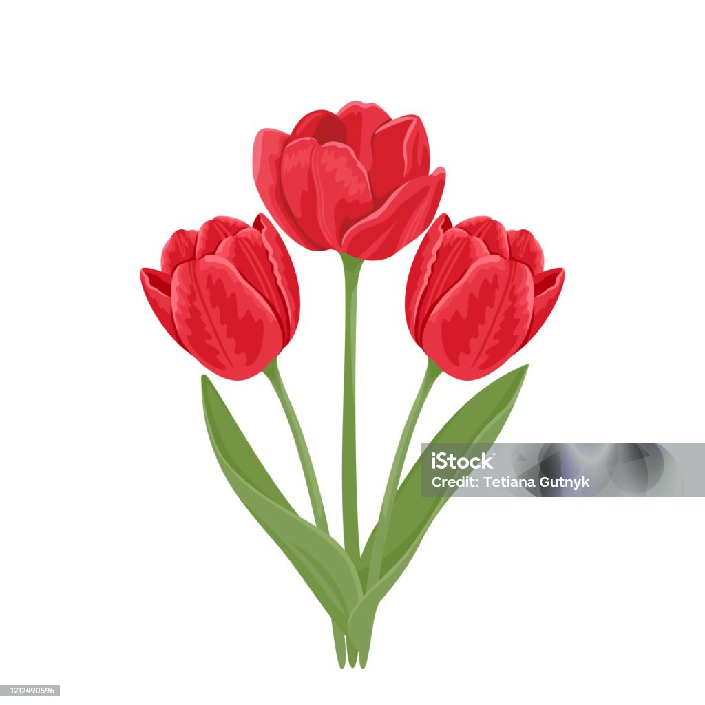 Ilustración de Ramo De Tulipanes Tres Flores De Primavera Rojas Con Hojas Verdes Y Tallos Aislados Sobre Un Fondo Blanco Ilustración De Vacaciones Vectoriales En Estilo Plano De Dibujos Animados y más Ilustración de Ramo De Tulipanes Tres Flores De Primavera Rojas Con Hojas Verdes Y Tallos Aislados Sobre Un Fondo Blanco Ilustración De Vacaciones Vectoriales En Estilo Plano De Dibujos Animados y más