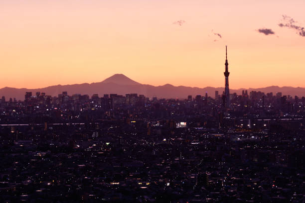 istock Tokyo evening seen from Ichikawa 1212494360