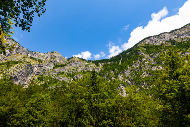 istock View of mountain from waterfall Savica, Slovenia 1212494683