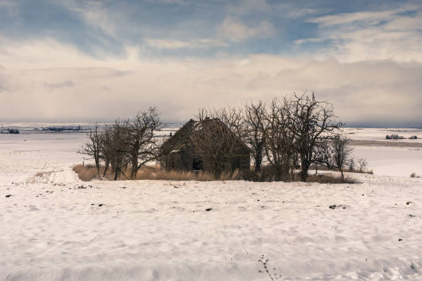 istock Piece of land and snow around 1212496472