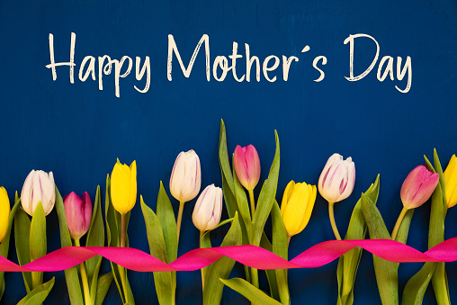 Tulipán colorido, texto feliz día de las madres, cinta, fondo azul photo