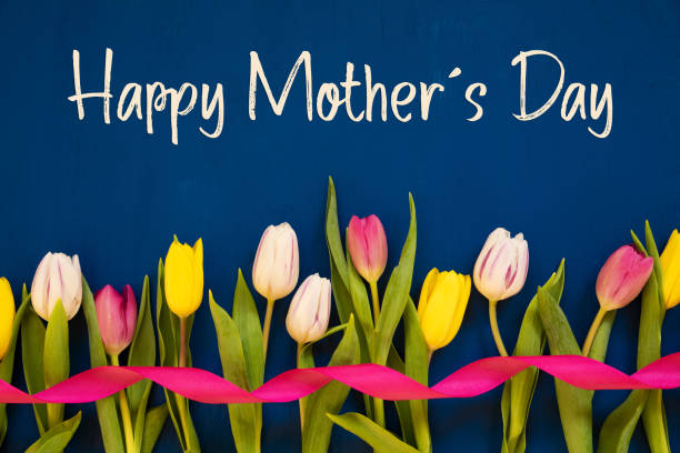 kolorowy tulipan, tekst szczęśliwy dzień matki, wstążka, niebieskie tło - mothers day tulip yellow greeting card zdjęcia i obrazy z banku zdjęć