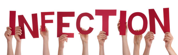 istock People Hands Holding Word Infection, Isolated Background 1212497729