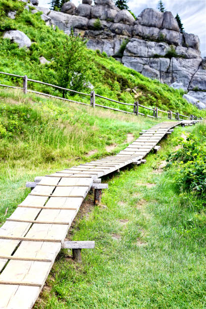 istock Hiking trail to the mountains for tourists 1212498599