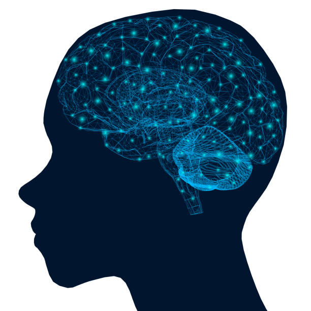 istock Silhouette of a human head with a polygonal brain wireframe made of blue lines with luminous lights. Vector illustration 1212502829