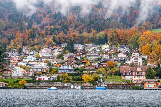 Snow-capped mountain in autumn of Interlaken village, Switzerland. Snow-capped mountain with colorful of tree in Thun lake, Interlaken, Switzerland. Early winter of November 2019, snow start to cover mountain area with cold temperature. thun interlaken winter switzerland stock pictures, royalty-free photos & images