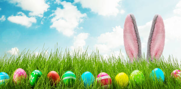 楽しいイースターウサギの耳の卵と草 - easter easter bunny fun humor ストックフォトと画像