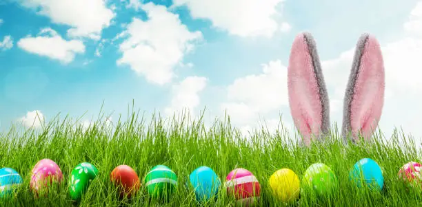 Photo of Fun easter rabbit ears eggs and grass