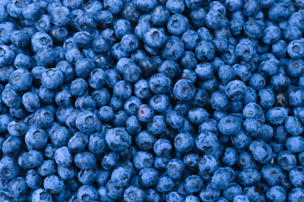 istock Fresh blueberry background. Texture blueberry berries close up. 1212507030