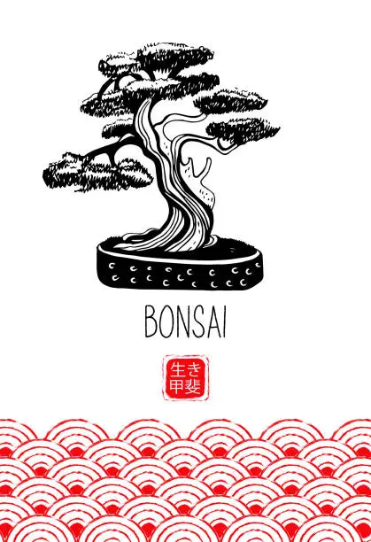 Vector illustration of Bonsai. Japanese miniature tree. Vector hand drawn illustration.