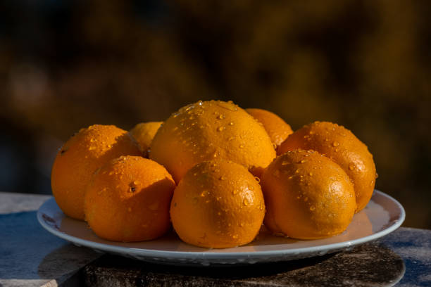 istock Still life eight oranges with water drops on white plate 1212512001