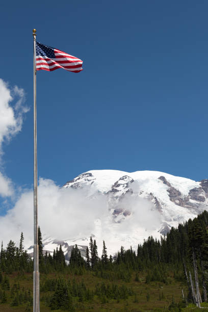 istock Mount Rainier National Park 1212515317