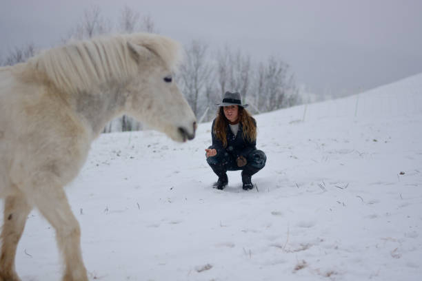 a menina com os cavalos na fazenda - horse inside of mountain snow - fotografias e filmes do acervo