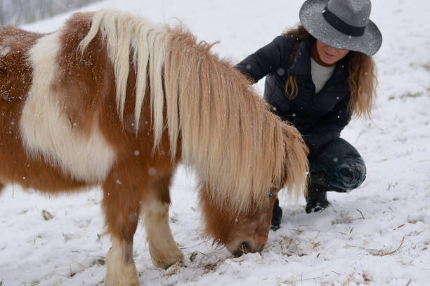 a menina com os cavalos na fazenda - horse inside of mountain snow - fotografias e filmes do acervo