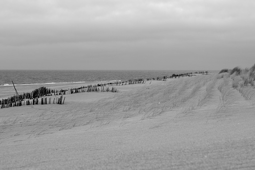 Spring Mood on Sylt Isand