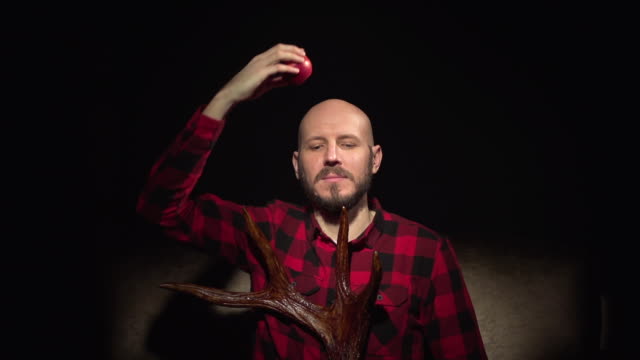 Man eat red apple from top of head bald caucasian white young hipster with beard in red plaid shirt with moose deer horns in hands