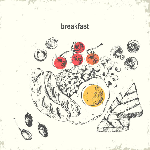 Hand drawn ink breakfast illustration Hand drawn ink breakfast menu illustration. English breakfast with fried egg, sausages, beans, mushrooms, tomatoes, toast. ketogenic diet illustrations stock illustrations