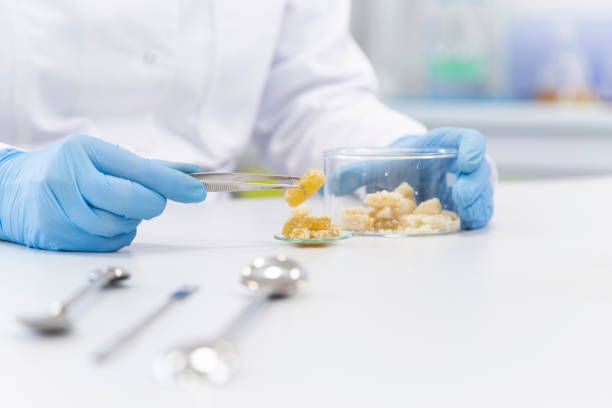 istock Hands working with terpene CBD crystals in laboratory with tweezers 1212529395