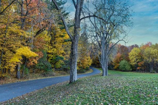 Country Road through Autumn Landscape stock photo