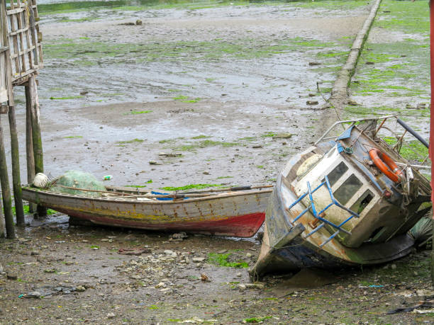 istock city of Castro, Chile 1212533793