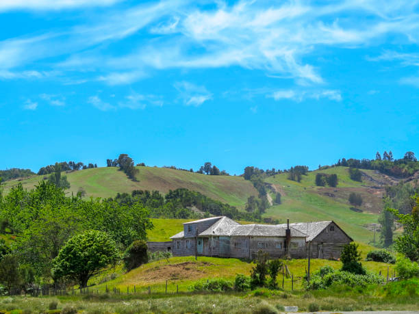 istock city of Castro, Chile 1212533804