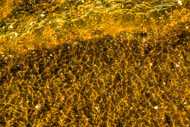 istock Golden beach in the sunset 1212534058