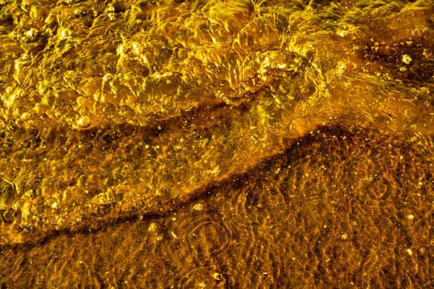 istock Golden beach in the sunset 1212535365