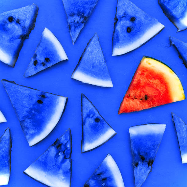 Multi-colored watermelons on a blue background. Contemporary art, minimalism.