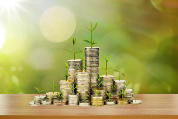istock small tree growing on the money coin stack increase with a business growth concept. bokeh sun light background. 1212539295
