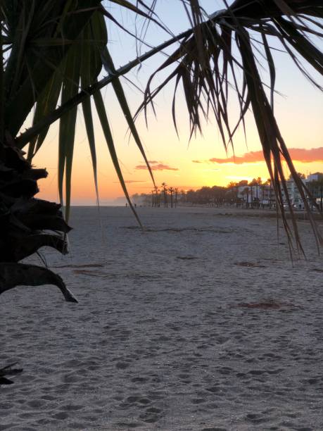 istock Sunrise at the beach 1212541910