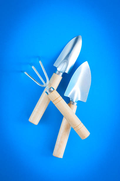 istock Indoor garden tools on a blue background, selective focus 1212542860