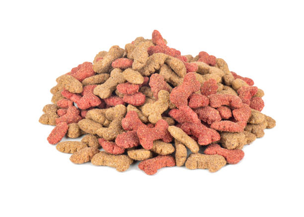 istock Dry dog food 1212543304