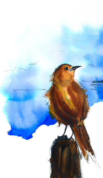 istock Rufous hornero bird (Furnarius rufus) perched on a piece of trunk against blue background. Watercolor Handmade paint. 1212544624