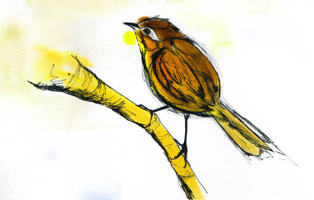istock A little bird perched on a piece of trunk. Handmade art work. Sketch Ink pen lines contour. 1212544708
