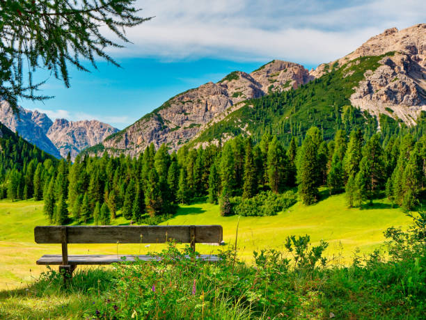 istock bench landscape in the mountains in summer 1212545150
