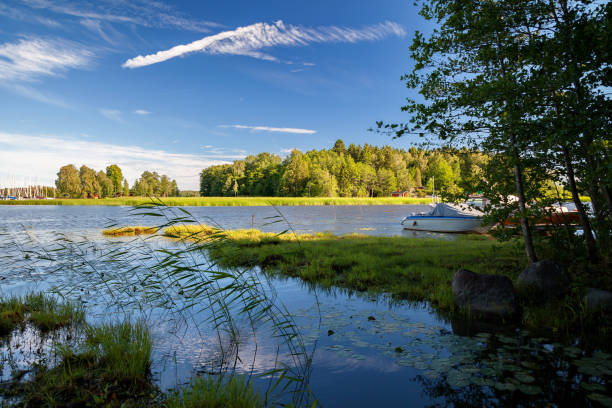 istock Hamina, Finland - typical local landscape, summer 1212545806