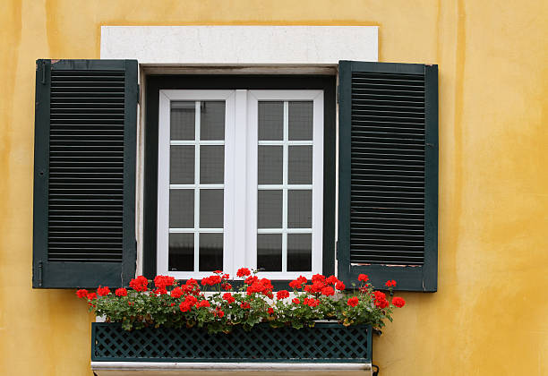 istock Black window shutters in a bright yellow wall with flowers 121254639