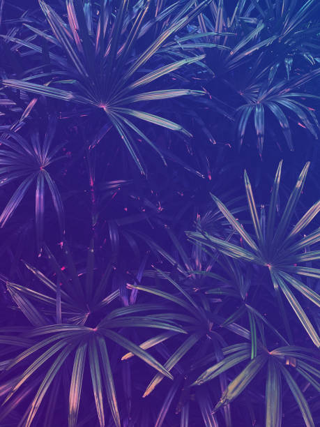 istock tropical exotic leaf  background, jungle party 1212547553