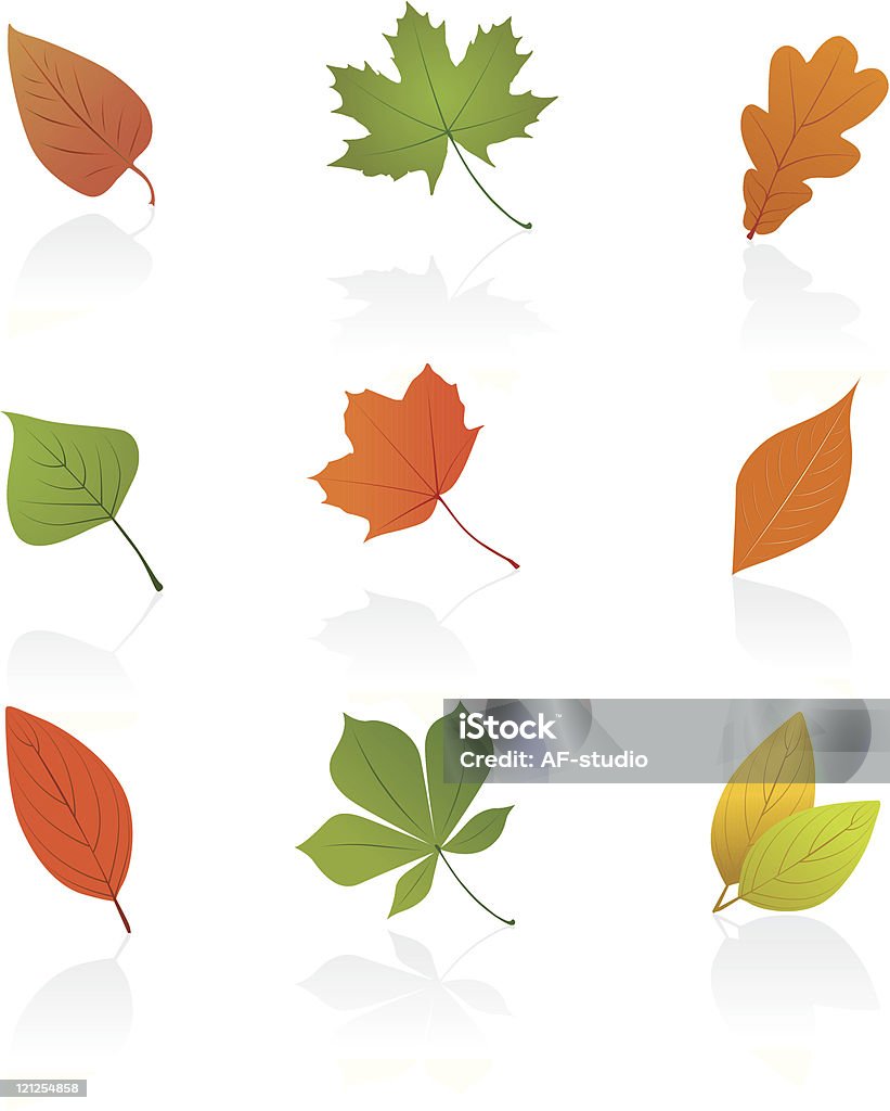 Set of autumn leafs  Autumn stock vector