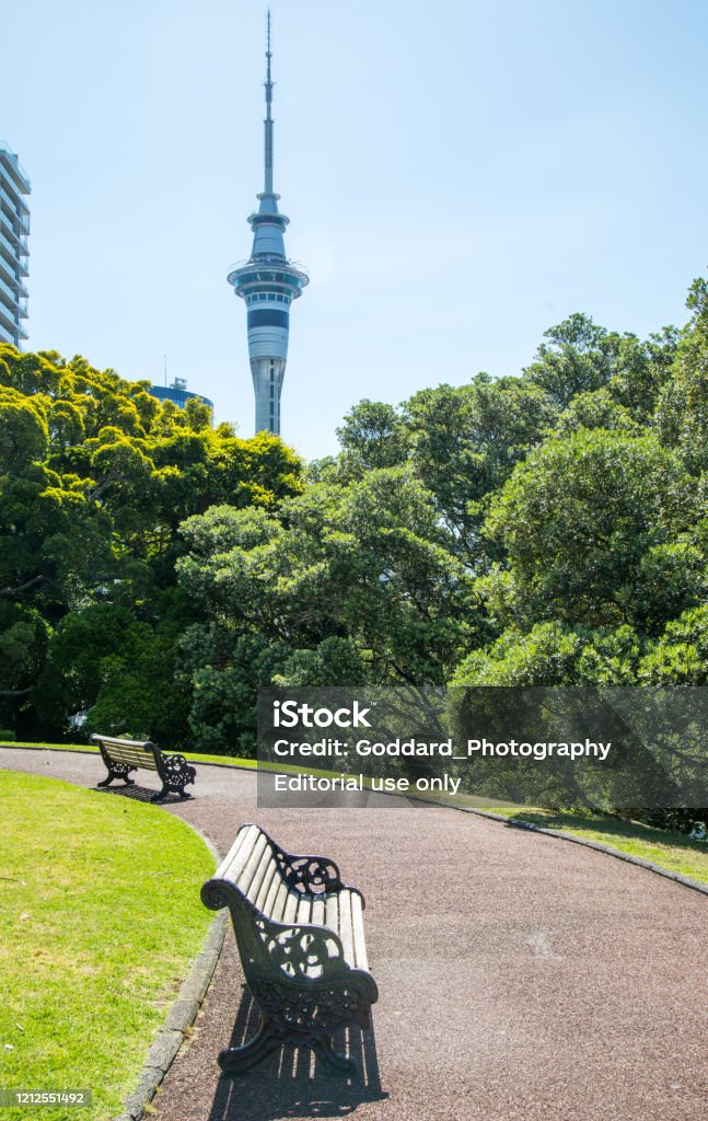 New Zealand: Albert Park in Auckland The iconic Sky Tower overlooking Albert Park in central Auckland. Albert Park Stock Photo