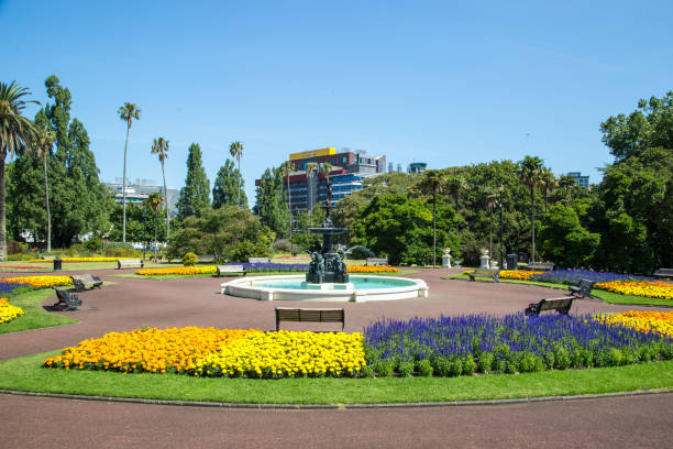 New Zealand: Albert Park in Auckland The scenic Albert Park in central Auckland, a respite from city life since the 1880’s. albert park photos stock pictures, royalty-free photos & images