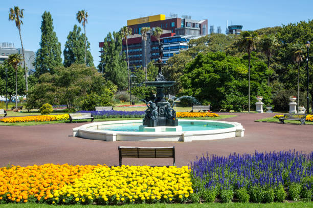 New Zealand: Albert Park in Auckland The scenic Albert Park in central Auckland, a respite from city life since the 1880’s. albert park photos stock pictures, royalty-free photos & images