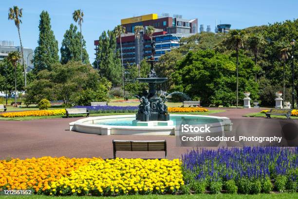 New Zealand Albert Park In Auckland Stock Photo - Download Image Now - Auckland, Public Park, Albert Park