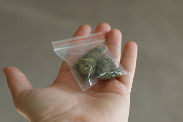 istock marijuana and pet usage theme photos 1212551696