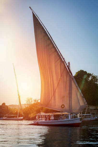 Traditional fellucas on the nile river, Egypt Traditional egyptian fellucas sailing boat on river Nile felucca boat stock pictures, royalty-free photos & images