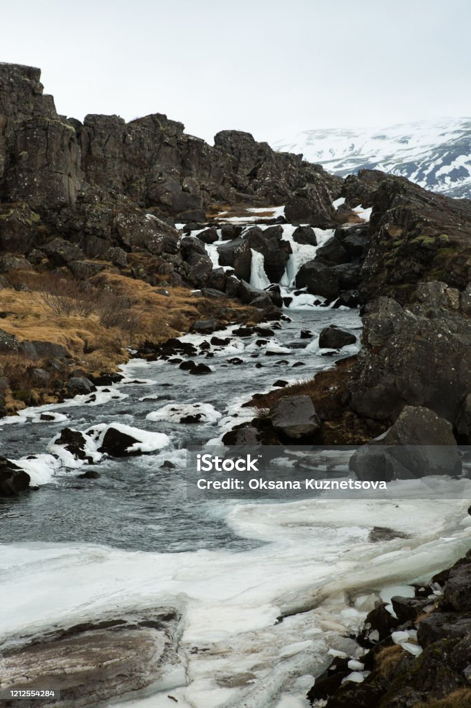 Geysers, ice, snow Melting snow and ice in the spring in Iceland. Plants are freed from ice Cold Temperature Stock Photo