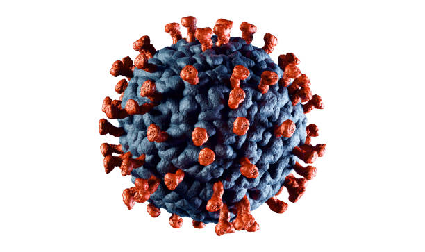 istock 3D illustration of corona virus coronavirus COVID-2019 in microscope 1212554800
