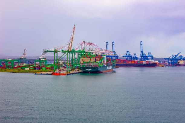 immergrünes containerschiff mit voller ladung im hafen angedockt - harbor editorial industrial ship container ship stock-fotos und bilder