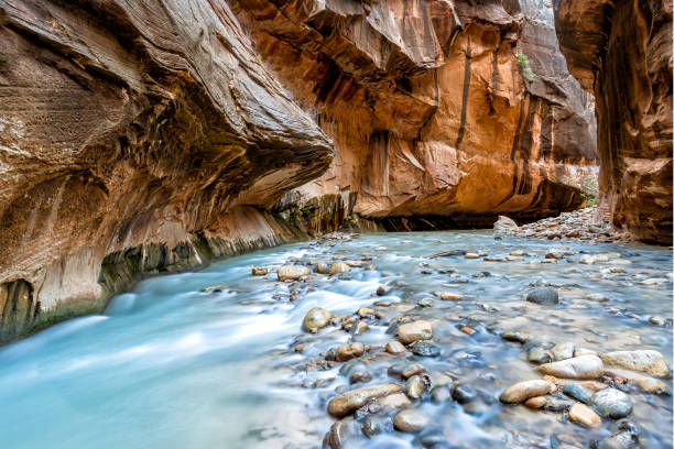 virgin river in den engstellen im zion national park, utah, usa - zion narrows stock-fotos und bilder