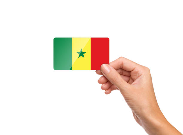istock Beautiful hand holding Senegal flag card on white background 1212558890